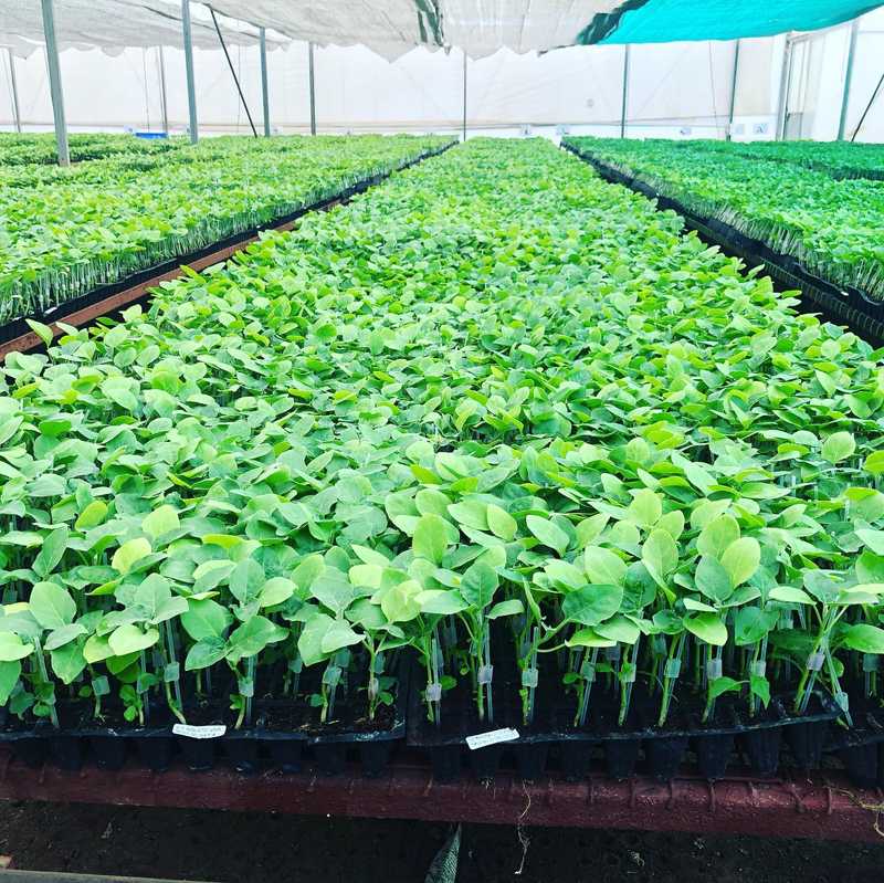 Blog post featured image